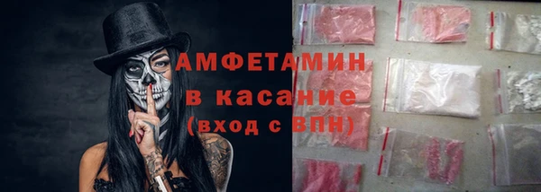 шишки Михайловск