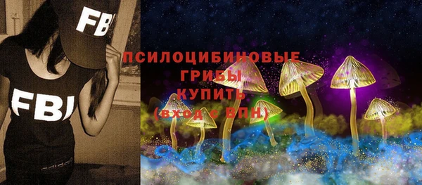 молекула духа Наволоки