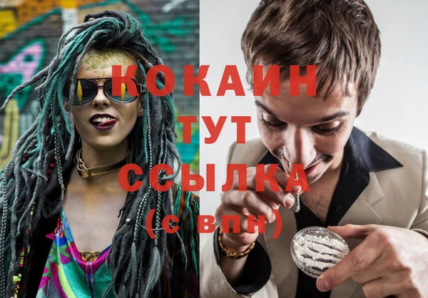 винт Надым