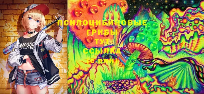 Псилоцибиновые грибы Psilocybe  купить  сайты  Геленджик 